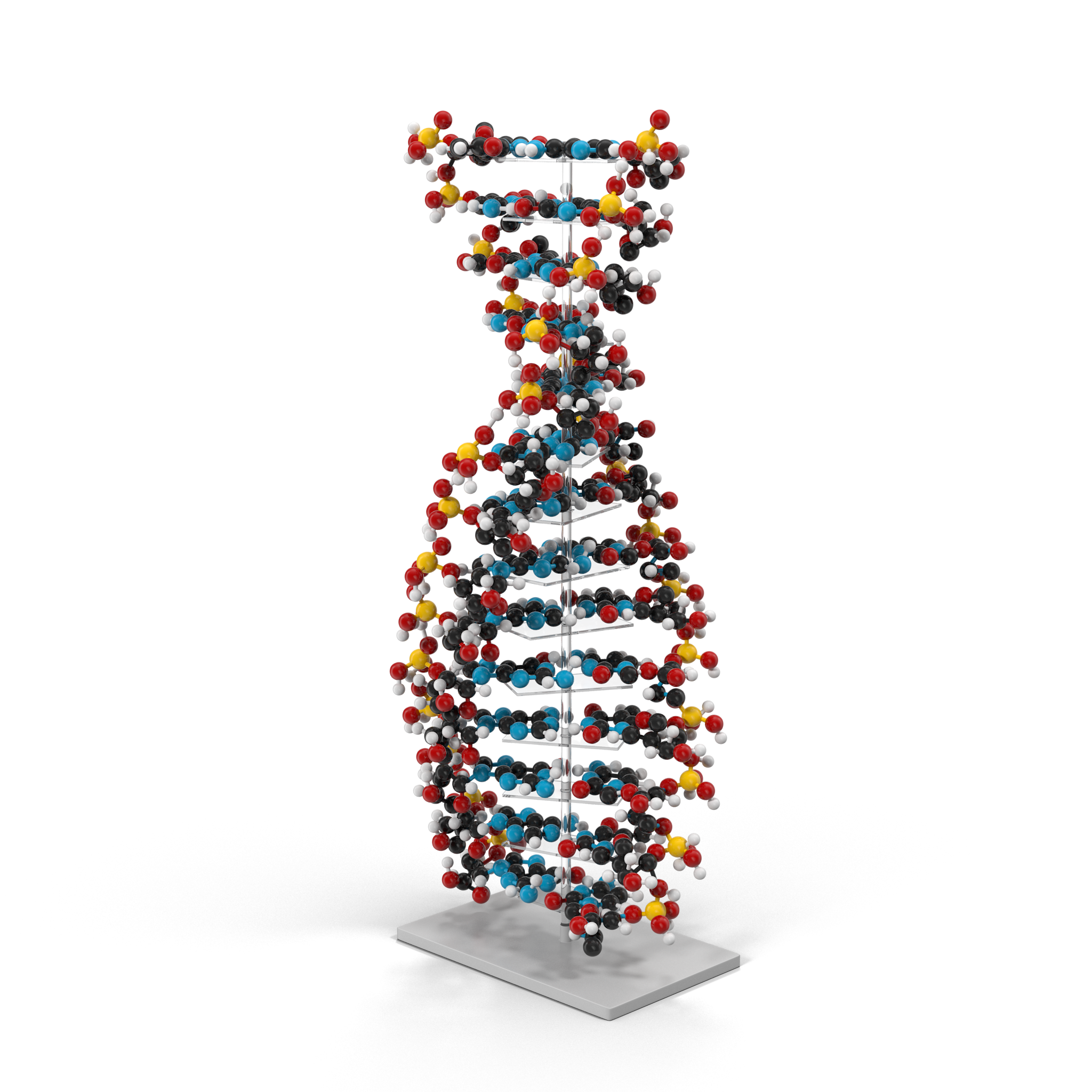 dna-modelh032k.17.63131a49613b9